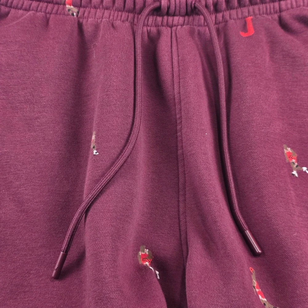 Jordan Brand Michael Jordan sweatsuit Embroidered Hoodie Maroon XXL DA4661-620‎